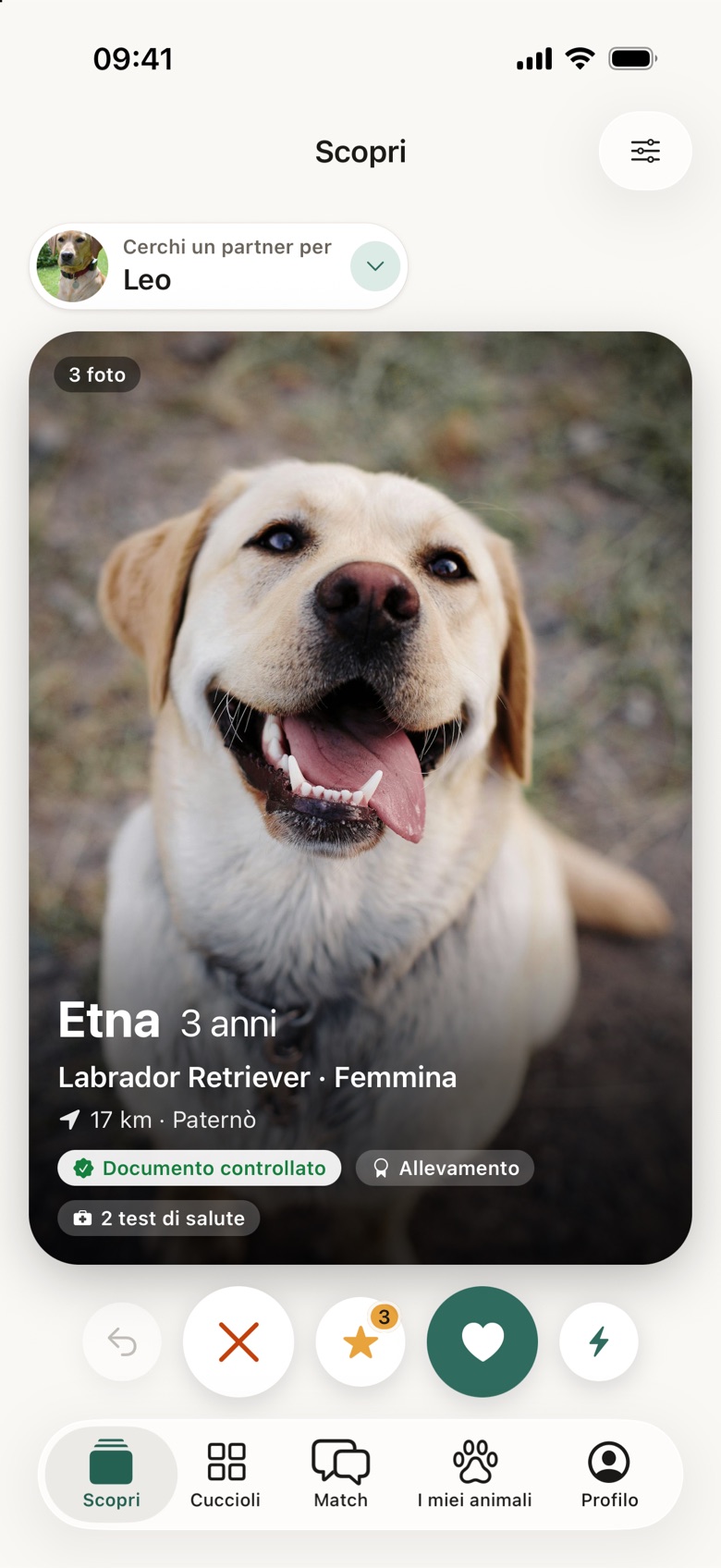La schermata Scopri di Heritail con la scheda di un cane